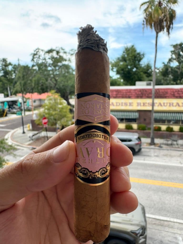 Southern Draw Rose of Sharon mid-smoke outdoors with pink and gold band