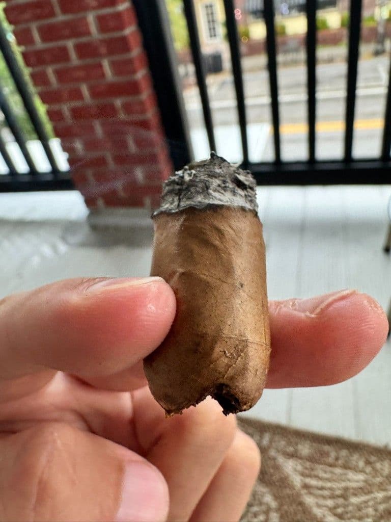 Final nub of Warped La Colmena 10th Anniversary
