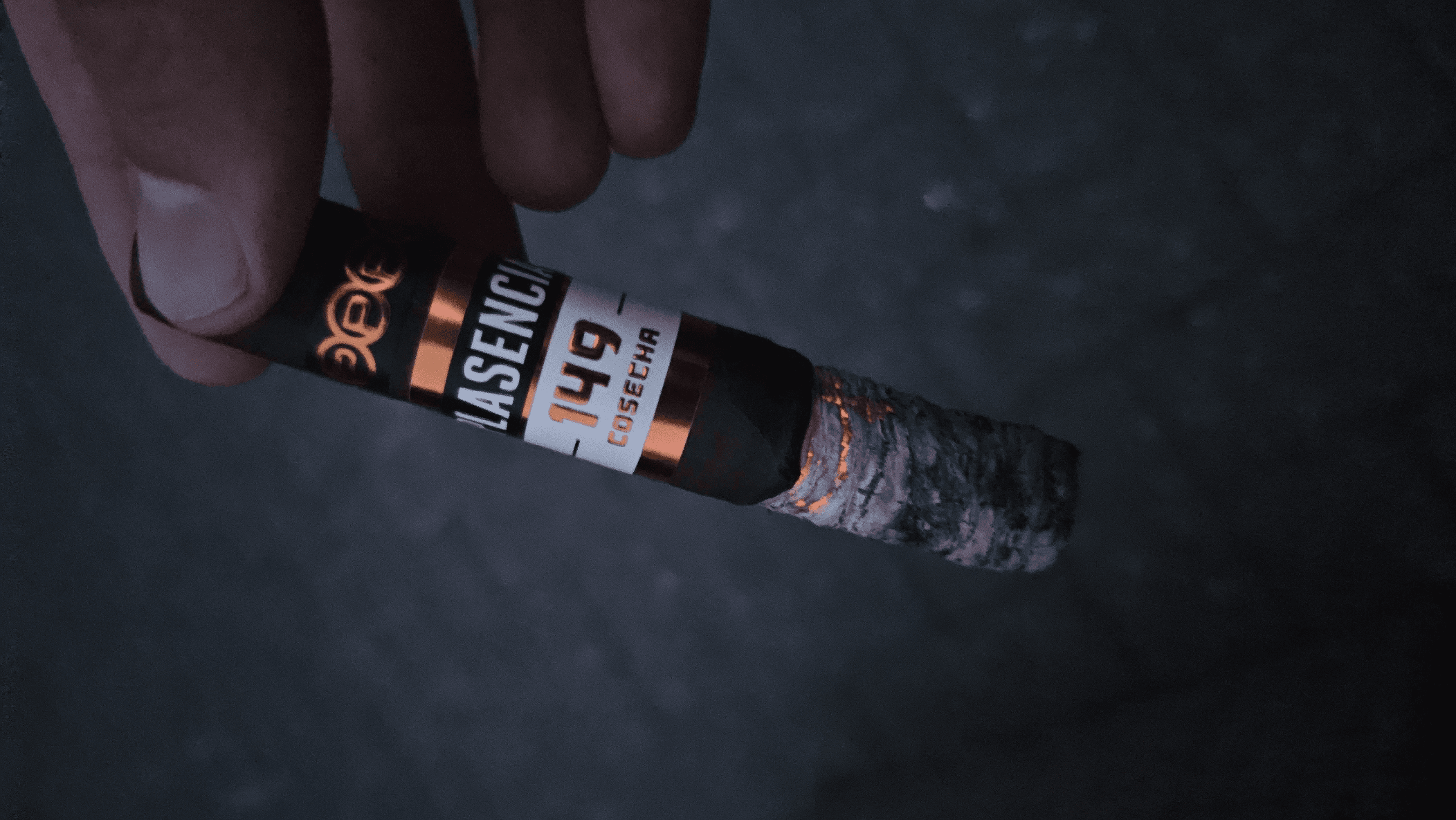 Plasencia 149 Cosecha Robusto cigar review