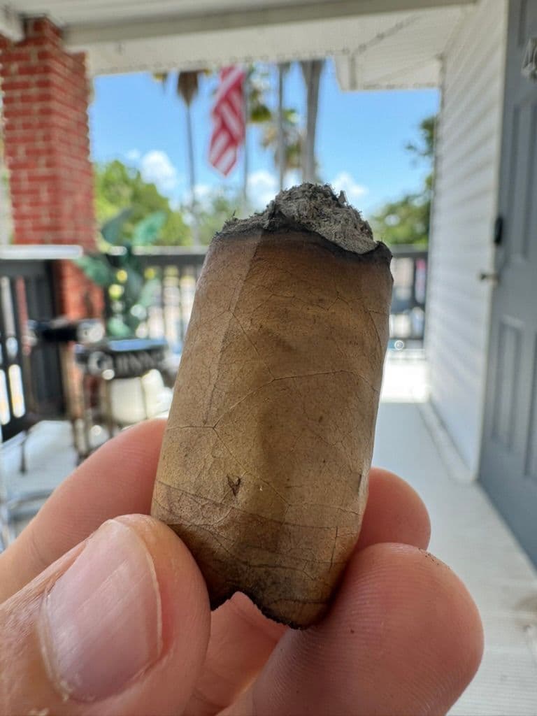 Final nub of the Byron Elegantes on a sunny porch