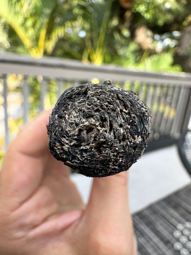 Cross-section of Perdomo Legacy ash showing dense filler packing